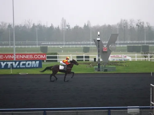 Hippisme : nos préférés pour ce dimanche 23 janvier